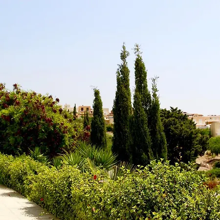 Chloraka Park D101 شقة *